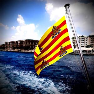 Ibiza (dfaultx) (Explicit)