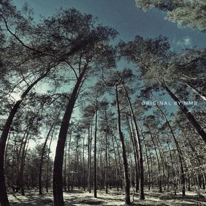 Light in the darkness