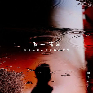 第一滴泪(从未得到一句爱我的誓言)封面