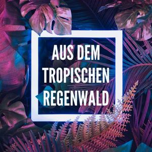 Aus dem tropischen Regenwald: Exotische Naturgeräusche zum Träumen und Meditieren