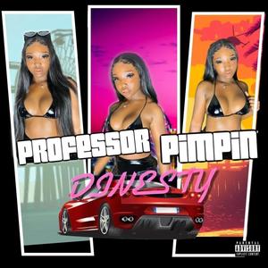 Professor Pimpin' (Explicit)