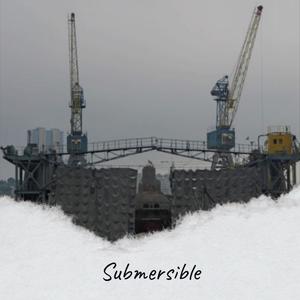 Submersible