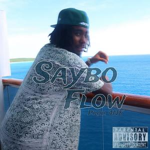 Saybo Flow (Explicit)