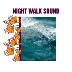 Night Walk Sound