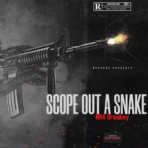 Scope out a snake (Explicit)