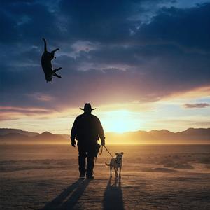 Walking That Dog, Kicking That Cat
