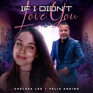 If I Didn't Love You (Bachata Version)