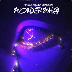 Wonder Why (Explicit)