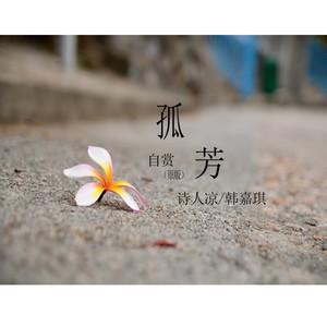 孤芳自赏