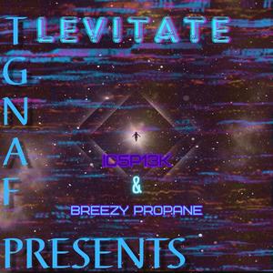 Levitate (feat. Breezy Propane) (Explicit)
