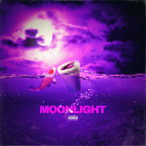 Moonlight (Explicit)