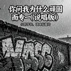 你问我为什么顽固而专一-小野学长&浪味仙薯片
