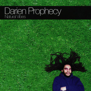 Natural Vibes (NJC Remix)