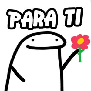 FLORK MEMECOIN & Clase Sosa