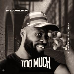 Too Much (Explicit)