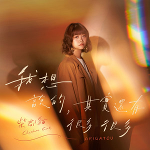 我想说的，其实还有很多很多 (Instrumental Version)