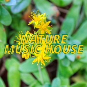 Tribal Brothers (Pascal Legress Mix)