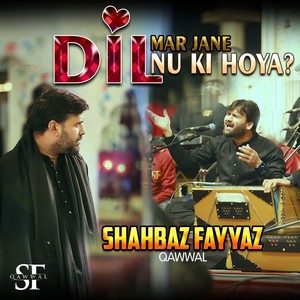 Dil Mar Jane Nu Ki Hoya Sajna