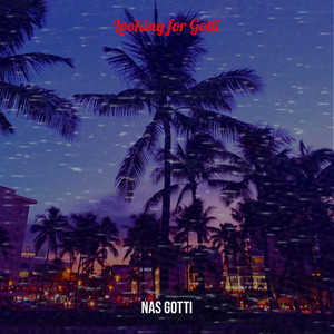 Looking for Gotti (Explicit)