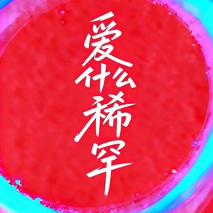 爱 什么稀罕 (clup pop版)封面