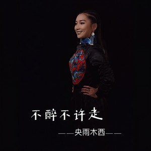 不醉不许走 (伴奏)
