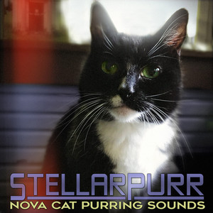 StellarPurr