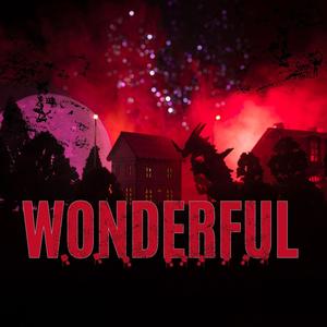 Wonderful (feat. Thriz) (Explicit)