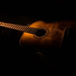 Quiet Melodies for Canines