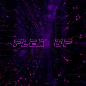 Flex Up (feat. DA$H & BRAXTON ROYEL) [Explicit]