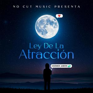 Ley De La Atraccion (Explicit)