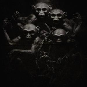 Four-Headed Monkey (feat. CAIDEN & King Monkey) (Explicit)