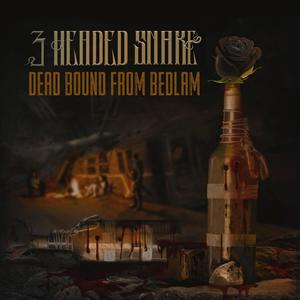 Dead Bound from Bedlam