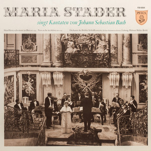 Kantate für Sopran und Orchester, BWV 209, 