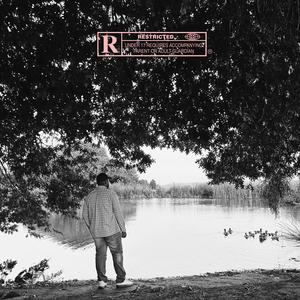 Ride or Die (feat. Shefsnow) (Explicit)