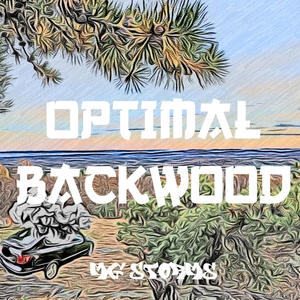 OPTIMAL BACKWOODS (Explicit)