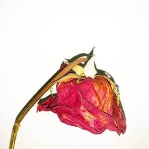 Find Myself (Explicit)