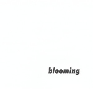 Blooming