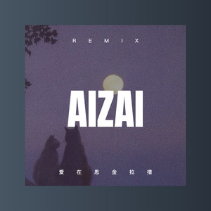 爱在左 情在右 (Remix)