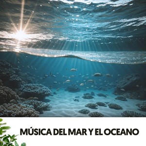 Música del Mar y el Oceano: Canciones de las profundidades