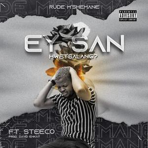 Ey San!(Hwetsalang?)(feat. Steeco)