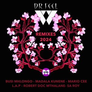 Doc's Naledi (Dr. Feel's Mix)