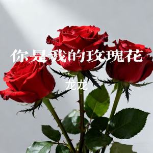 广龙龙 - 你是我的玫瑰花