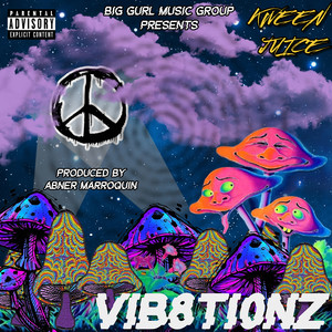 Vib8tionz (Explicit)