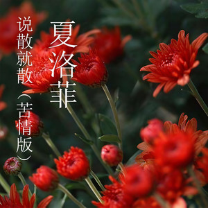 全新恋爱 (Single Version)