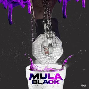 Life on edgewood (Explicit)