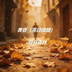 黄昏（落日微醺）