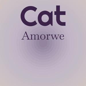 Cat Amorwe