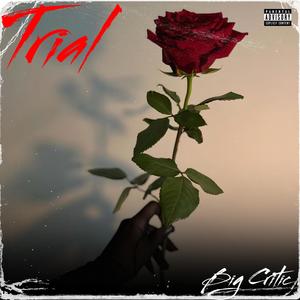 Seen It All (feat. L.Bone) (Explicit)