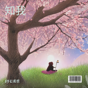 DJ七先生 - 知我 (氛围版)