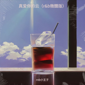 真爱你的云 (r&b微醺版)封面